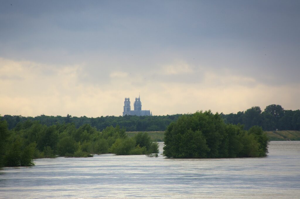 Loire orleans